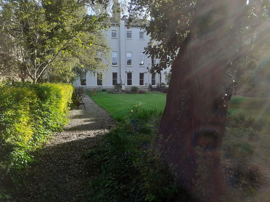 Iveagh House